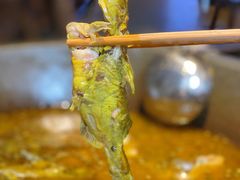 -石锅苗苗鱼(武汉首店)