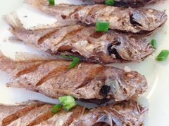 生煎黄花鱼-花乐餐厅(涠洲岛店)