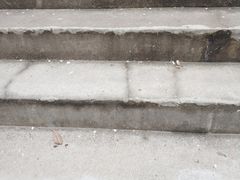 -武汉大学-樱园