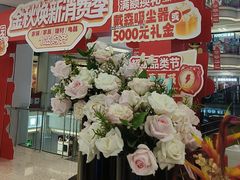 -红星美凯龙北京至尊MALL(东四环中路店)
