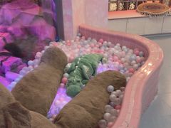 -CIAO·团建聚餐·生日派对轰趴馆(福田店)