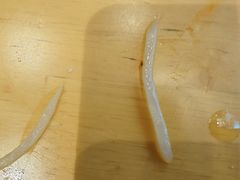 -小六汤包·西安老字号·中华名小吃(高新四路店)