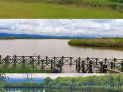 -野鸭湖国家湿地公园