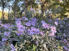 -永定河休闲森林公园