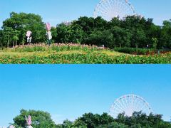 -雀儿山公园