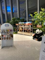 -IMON·HANSA潮玩玩偶毛绒玩具(通州万象汇店)