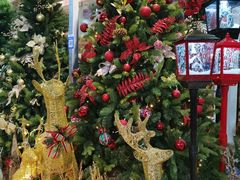 -上海虹桥花卉市场经营管理有限公司-停车场