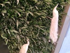 -SFC上影影城(港汇永华IMAX激光店)