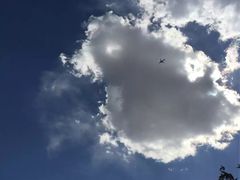 -北京麋鹿生态实验中心