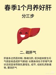 -玛莲朵·海菲秀冰珀科