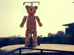 -济州岛泰迪熊博物馆