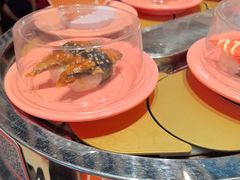 -争鲜回转寿司(东方银座店)
