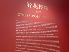 -德基艺术博物馆