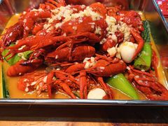 -食鸡公社辣子鸡·潍坊菜·烧烤