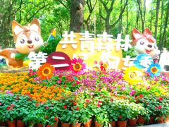 -上海共青森林公园