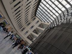 -首都医科大学附属北京天坛医院