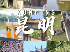 -翠湖公园