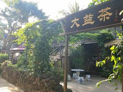 -万绿园