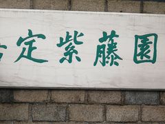 -嘉定紫藤园