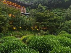 -十八棵（老龙井）御茶园(老龙井店)