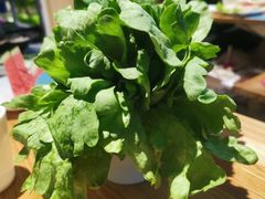 茼蒿-青瓷火锅料理(西单大悦城店)