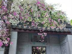 -深圳国际园林花卉博览园