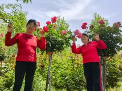 -枫林花海
