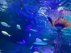 -沈阳海洋探索中心