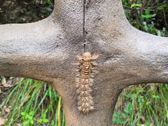 -宁波五龙潭景区