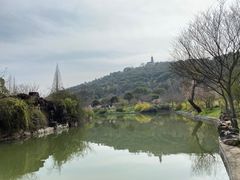 -苏州上方山国家森林公园