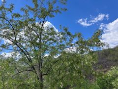 -北京鹫峰国家森林公园