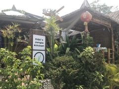 -Jungle Kitchen