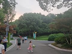 -青枫公园