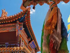 -大召无量寺