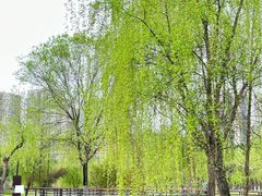 -沐仙湖湿地公园