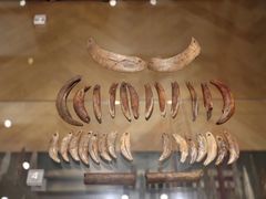 -丹麦国家博物馆