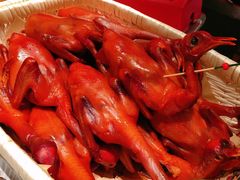 -鸽子侯·家宴·平价海鲜(市图书馆店)