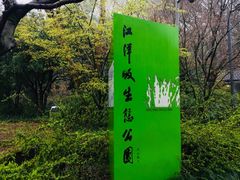 -西湖风景区-江洋畈生态公园
