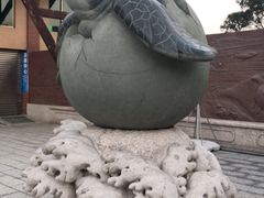 -广东惠东海龟国家级自然保护区