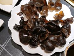 -蜀九香火锅(彩虹店)