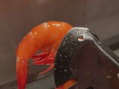 -星伦多自助料理·涮烤一体(江桥万达店)