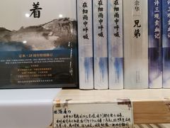 -猫的天空之城概念书店(印象城购物中心店)