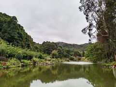 -深圳仙湖植物园