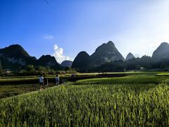 -靖西鹅泉风景区