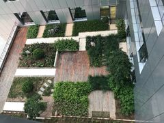 -天津医科大学肿瘤医院(本部院区)