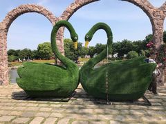 -鹅湖玫瑰文化园