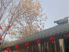 -醉月城西昌火盆烧烤(天府店)
