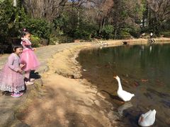 -蝴蝶泉公园