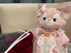 -迪士尼小镇
