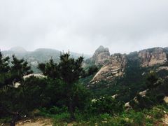 竹子庵-竹子庵公园